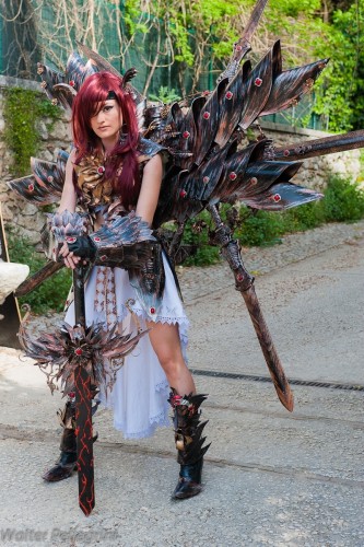 Fairy tail cosplay erza