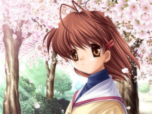 clannad-game-wallpaper
